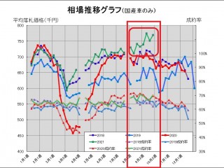 新車の納期遅延が招く 中古車買取り相場 過去最高更新 ご契約者は代車6か月間無料キャンペーン実施 新潟 静岡 山形の車買取りは車 現金買取り専門店オレンジグループ